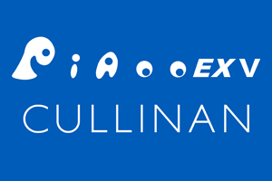PIAOO EX V ・ CULLINAN